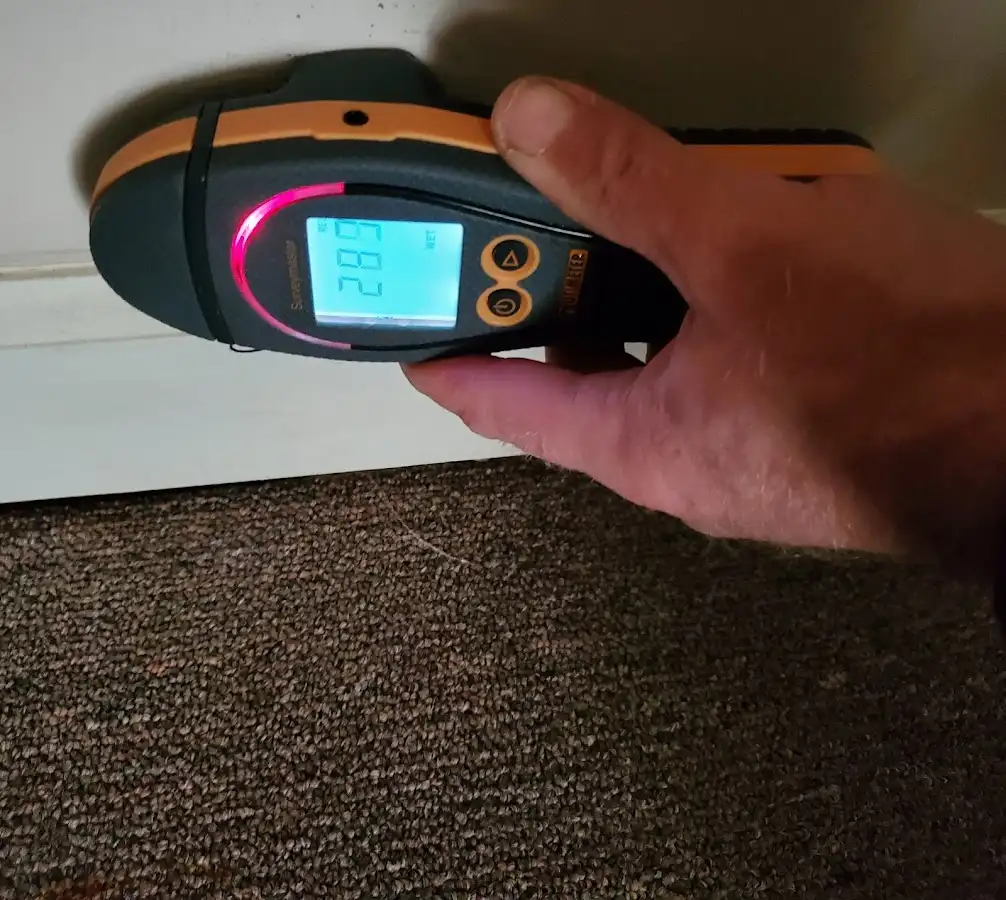 Moisture detection at baseboard during Sewage Cleanup & Sanitation in Piscataway